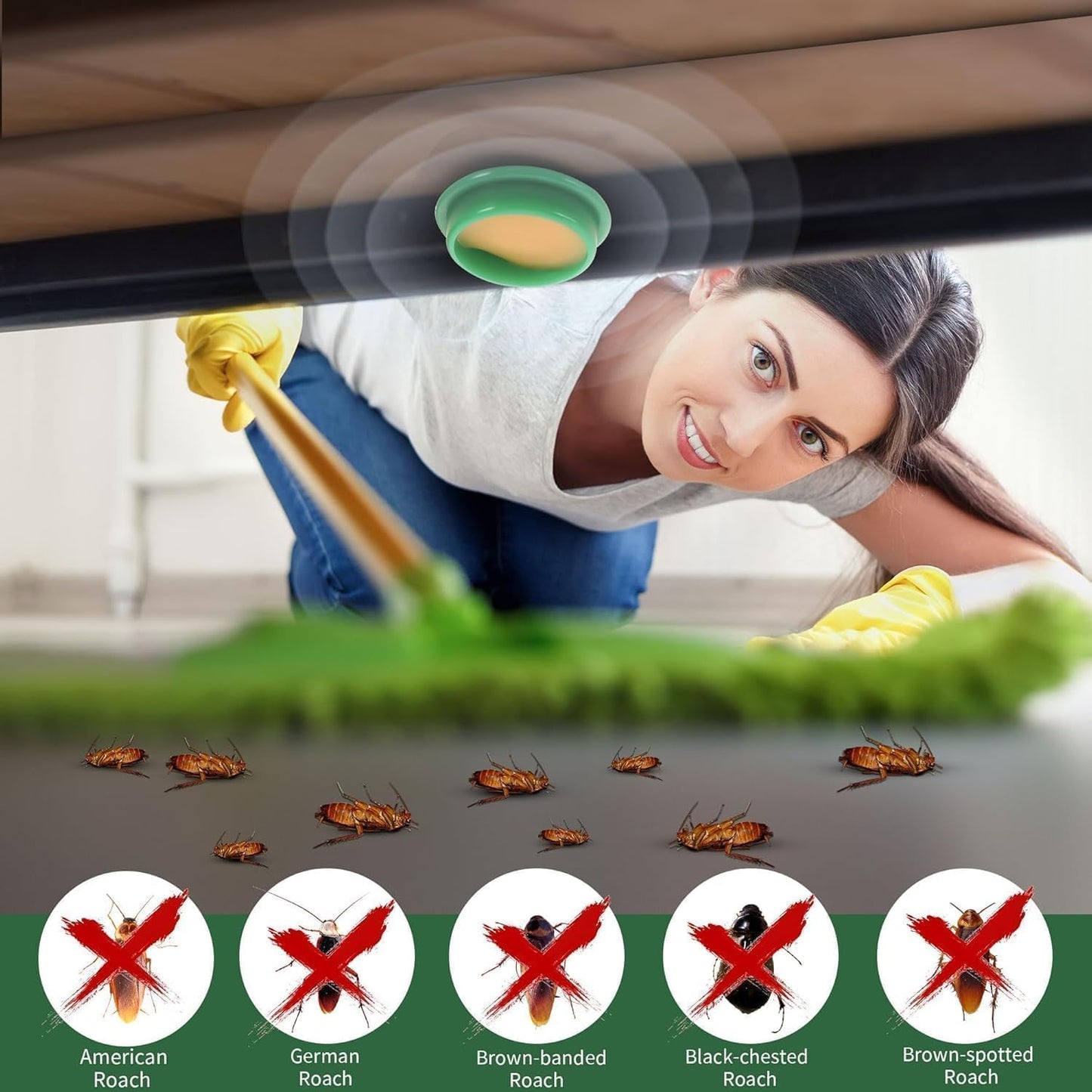 Cockroach Killer Gel